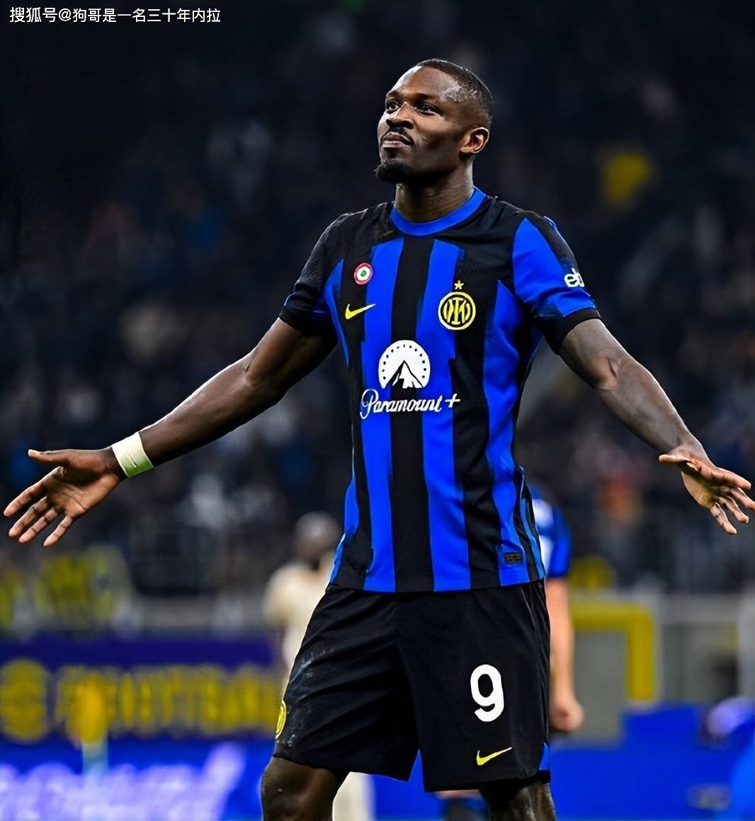 外援完胜新 外援完胜新