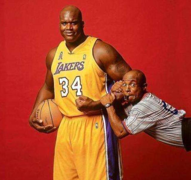 档期是否维 档期是否维