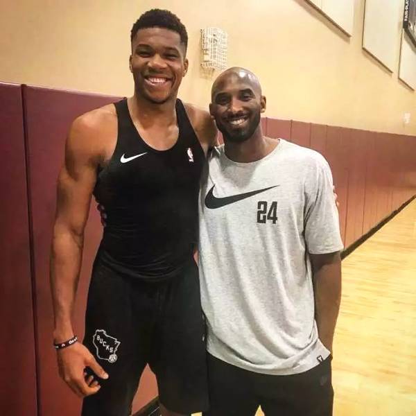 努诺的计划 努诺的计划